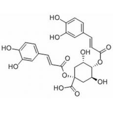 1,3-二咖啡?？鼘幩?洋薊素
