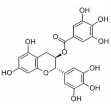 沒(méi)食子兒茶素沒(méi)食子酸酯