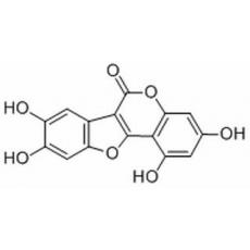 異去甲蟛蜞菊內酯