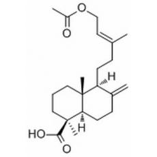 乙?；惏叵┧? width=
