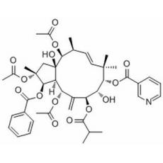 2,5,14-三乙酰氧基-3-苯甲?；趸?8,15-二羥基-7-異丁酰氧基-9-煙酰氧基氧基-6(17),11E-麻風樹屬二烯