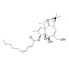 3-O-(2'E,4'Z-癸二烯?；?巨大戟二萜醇